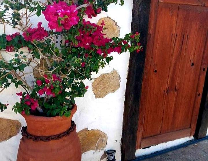 Casa Rural Alessia With Jacuzzi ,Garden & Swimming Pool Santa Cruz de Tenerife Eksteriør bilde